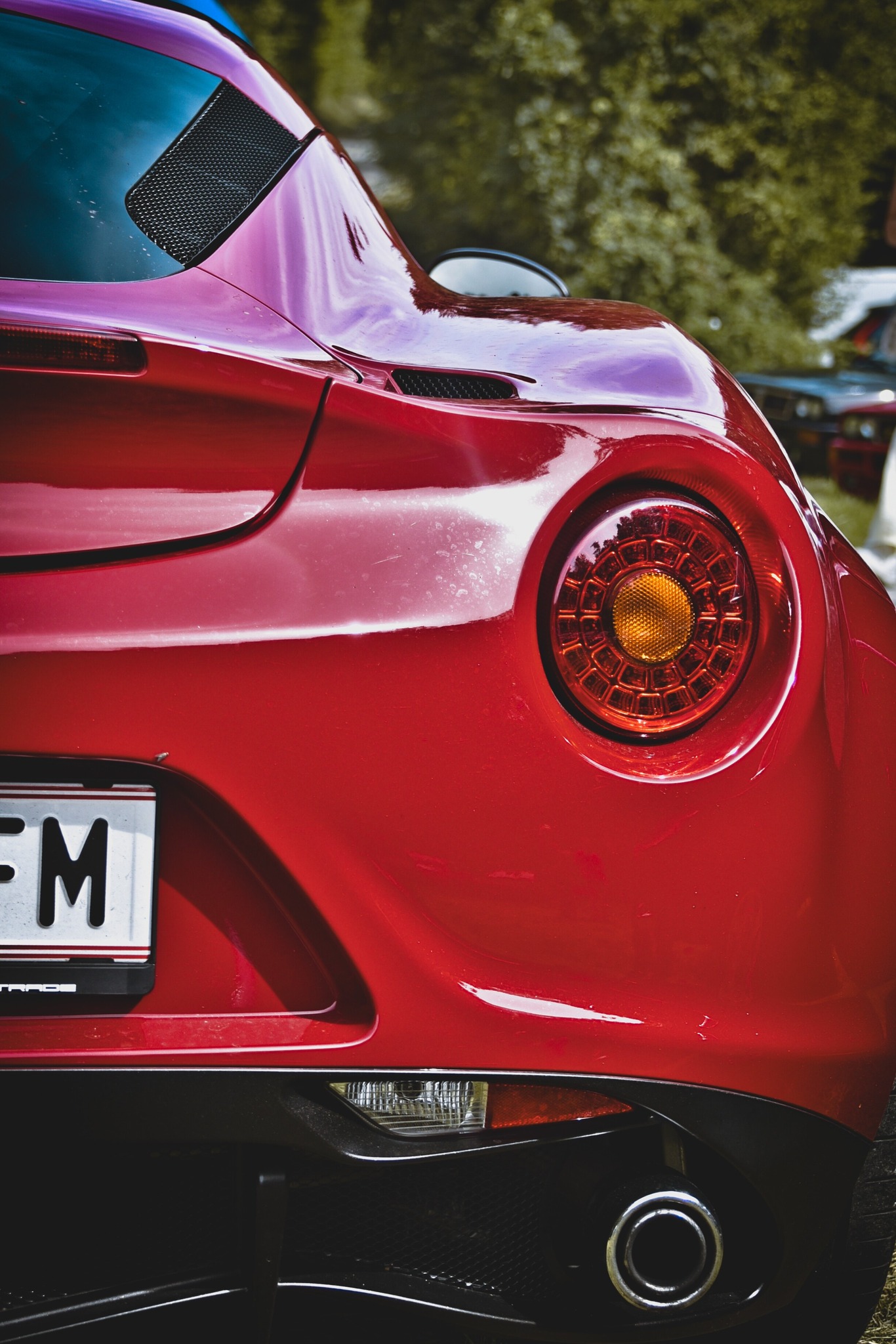 544567542 1638806910673524 7057554130399065831 n