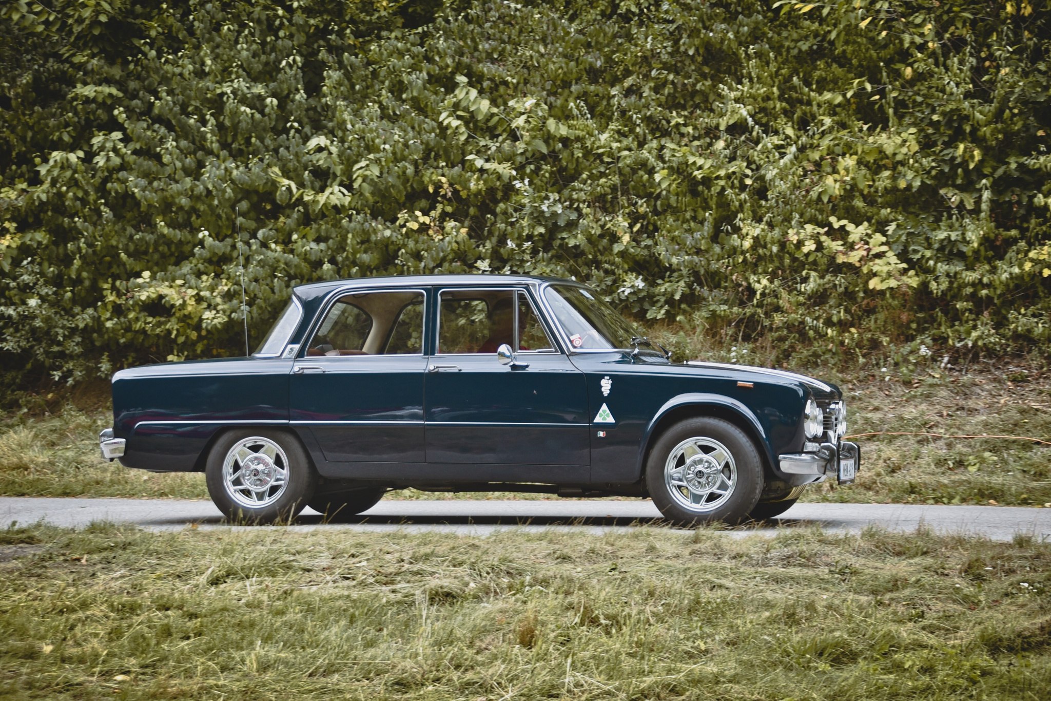 545091613 1638806450673570 7052272247243130423 n