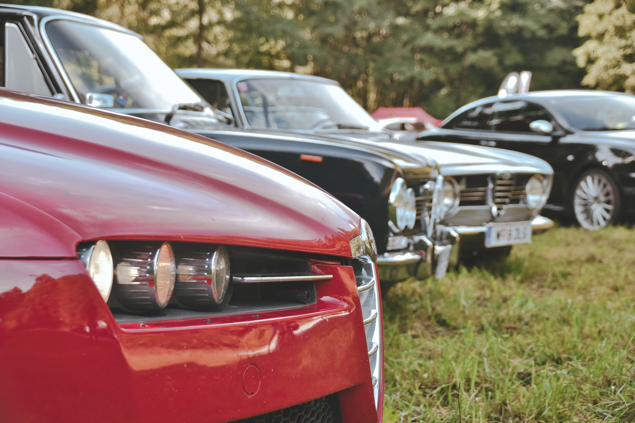 545548261 1638796120674603 5518755330533467634 n