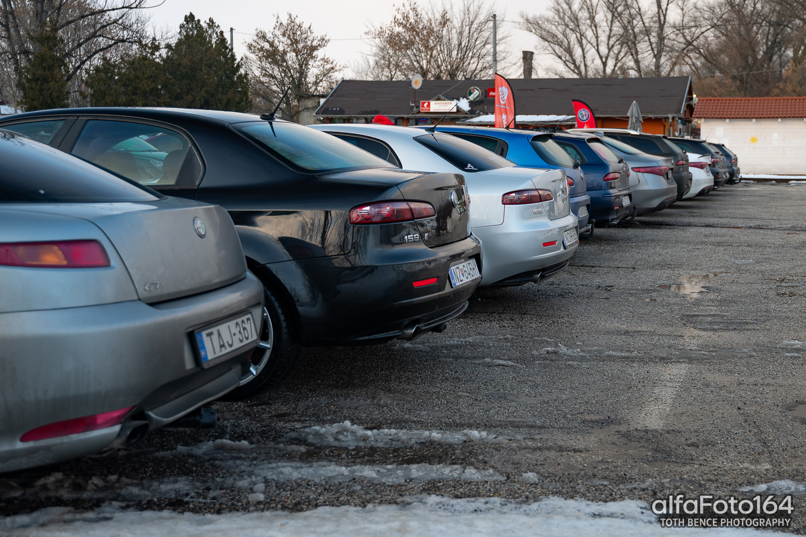 alfamania nym 2026 017