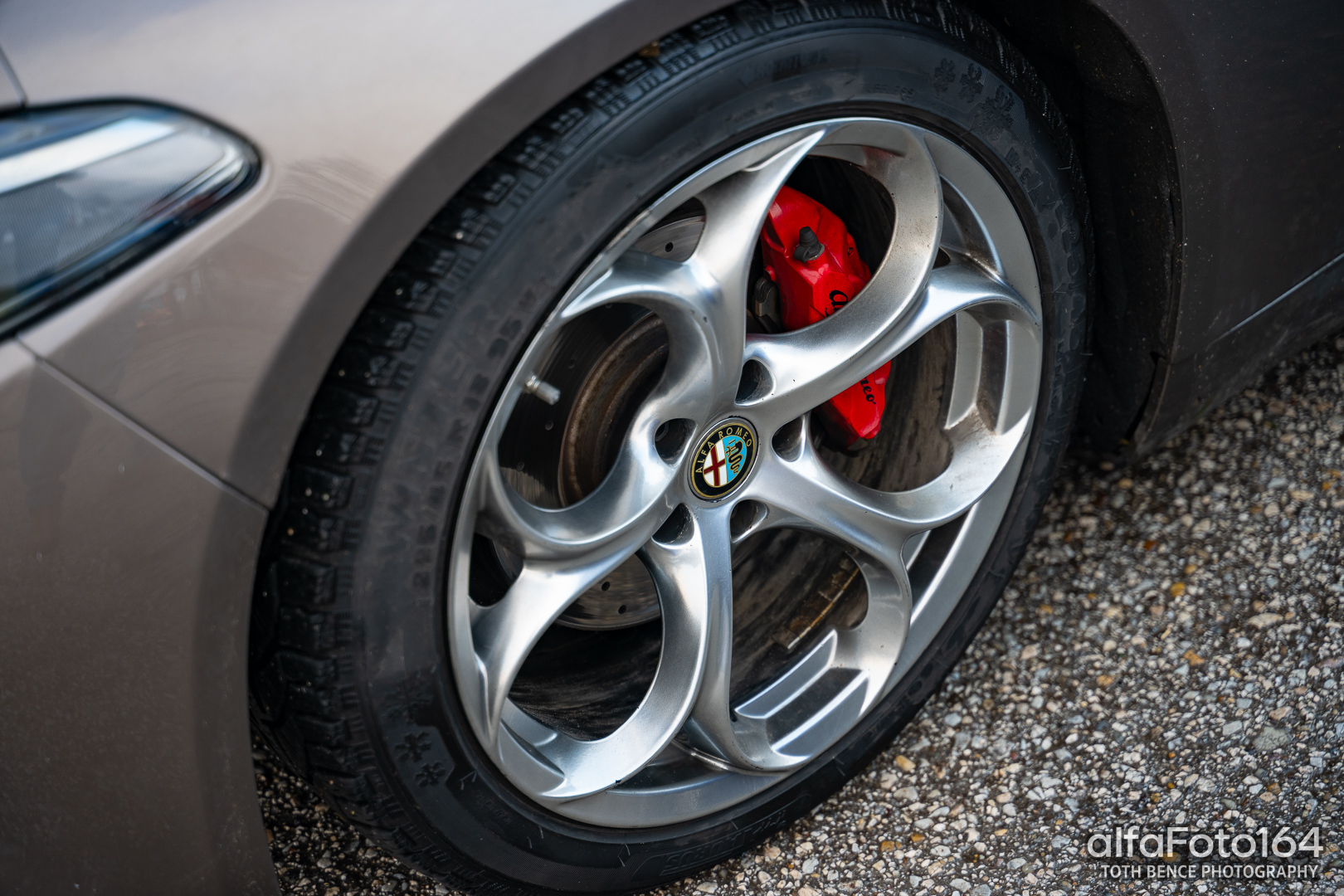 alfamania nym 2026 023