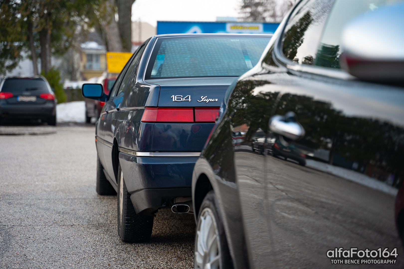 alfamania nym 2026 033