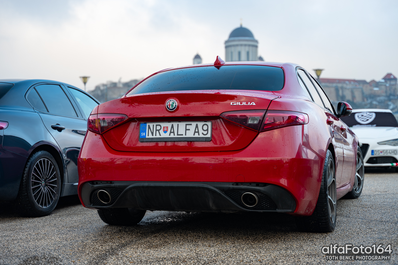 alfamania nym 2026 043