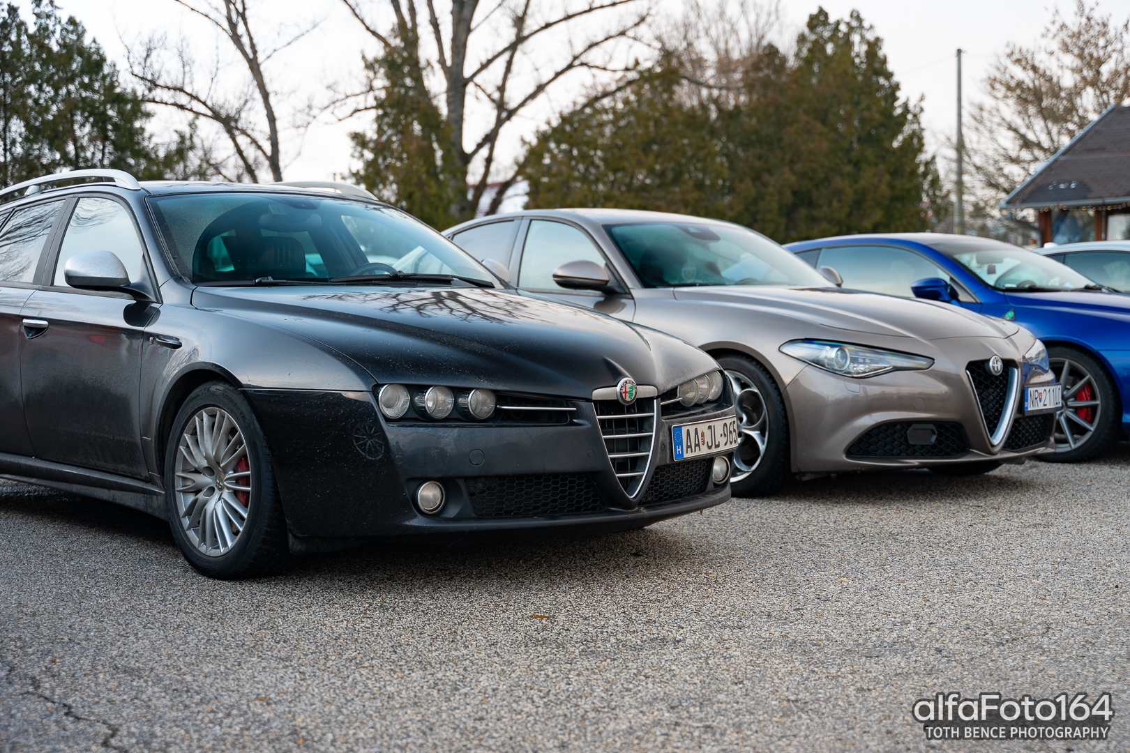 alfamania nym 2026 045