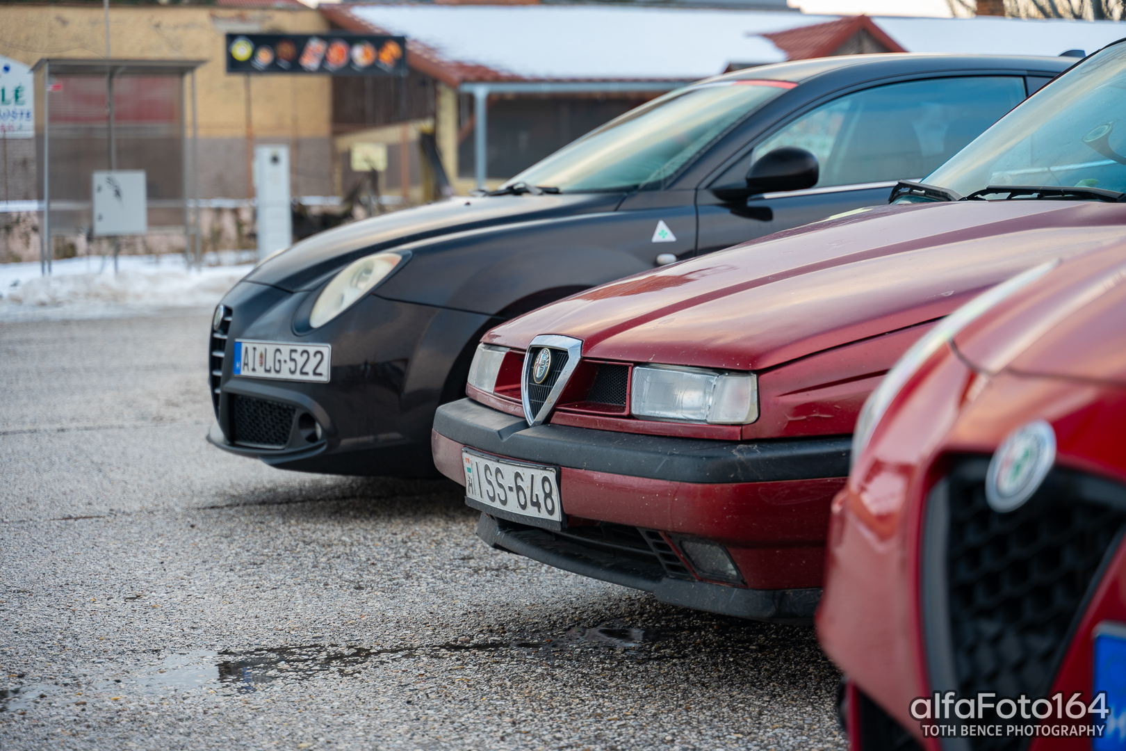 alfamania nym 2026 047