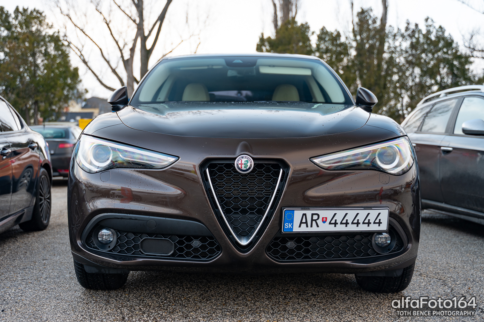 alfamania nym 2026 049