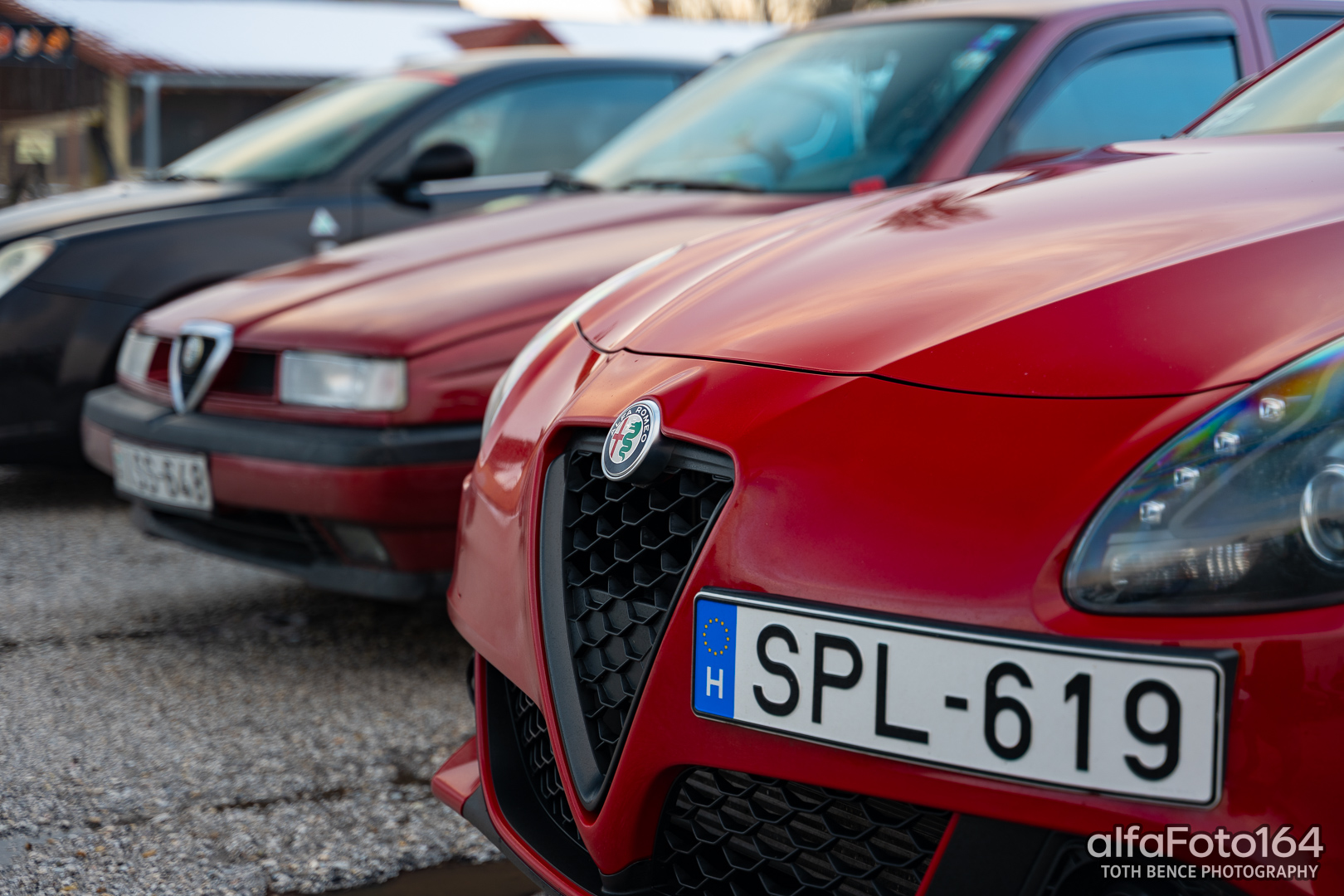 alfamania nym 2026 051