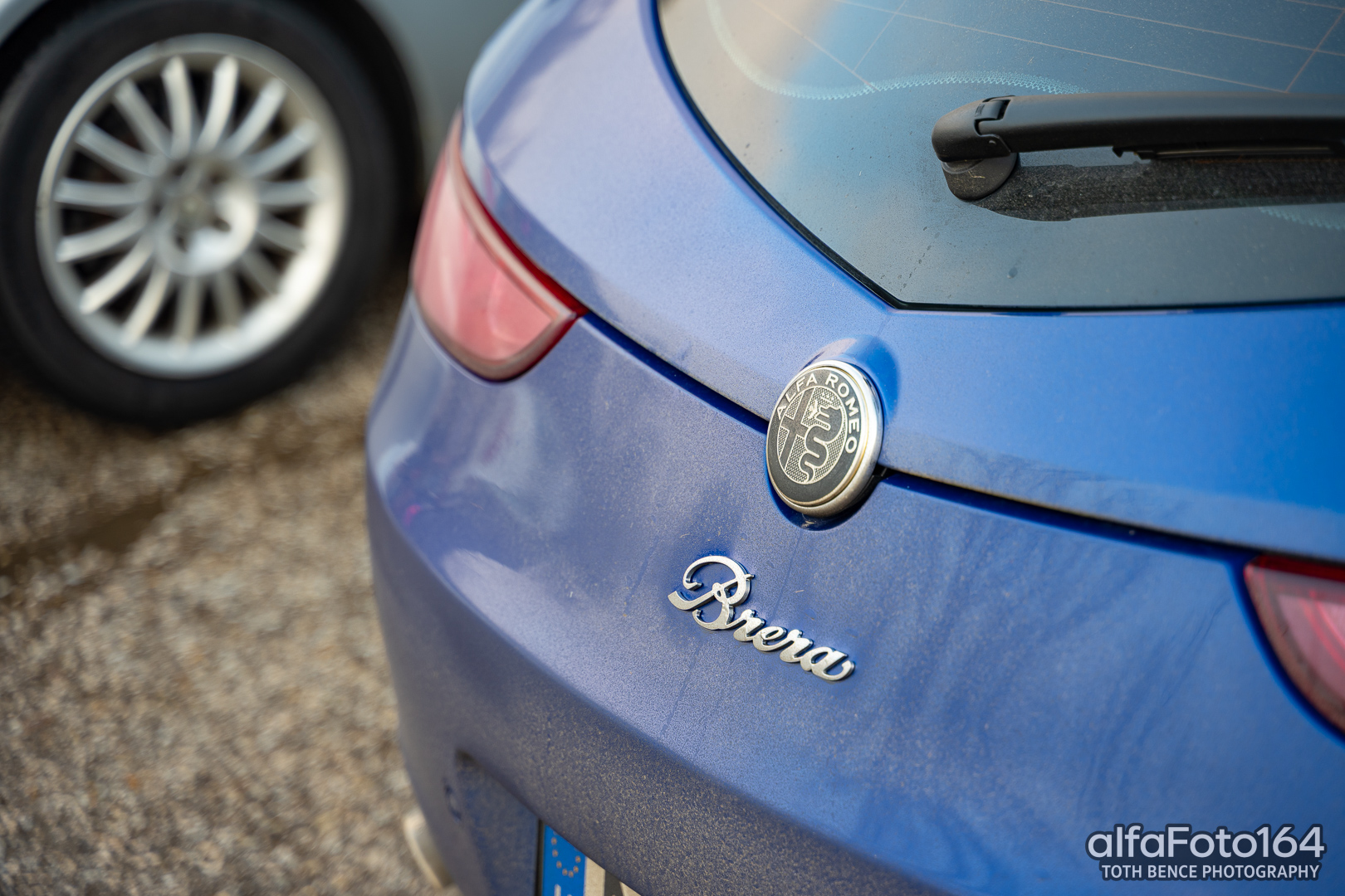 alfamania nym 2026 054