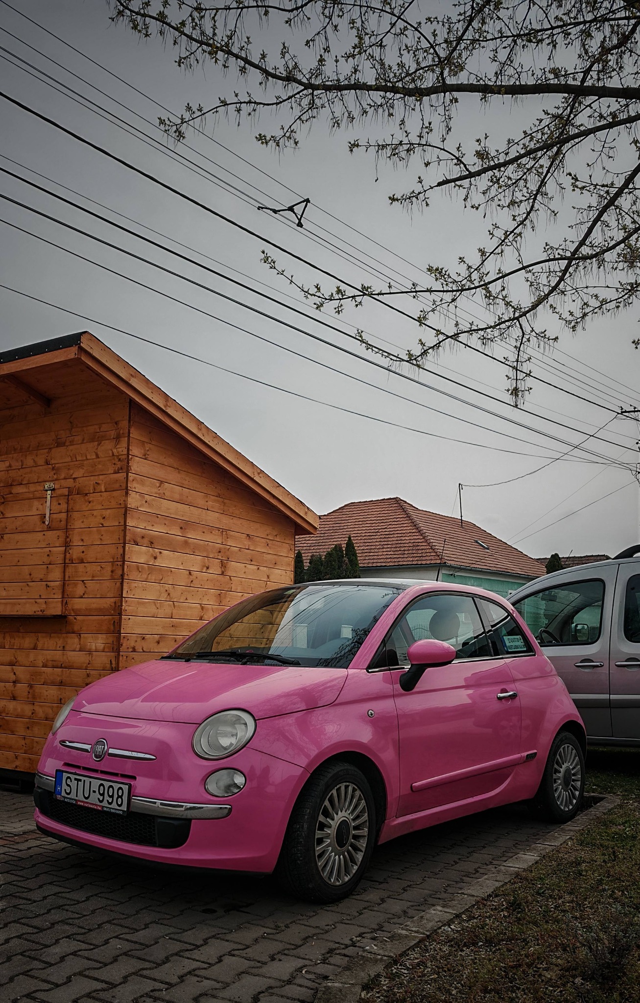 alfamania abda 2026 009