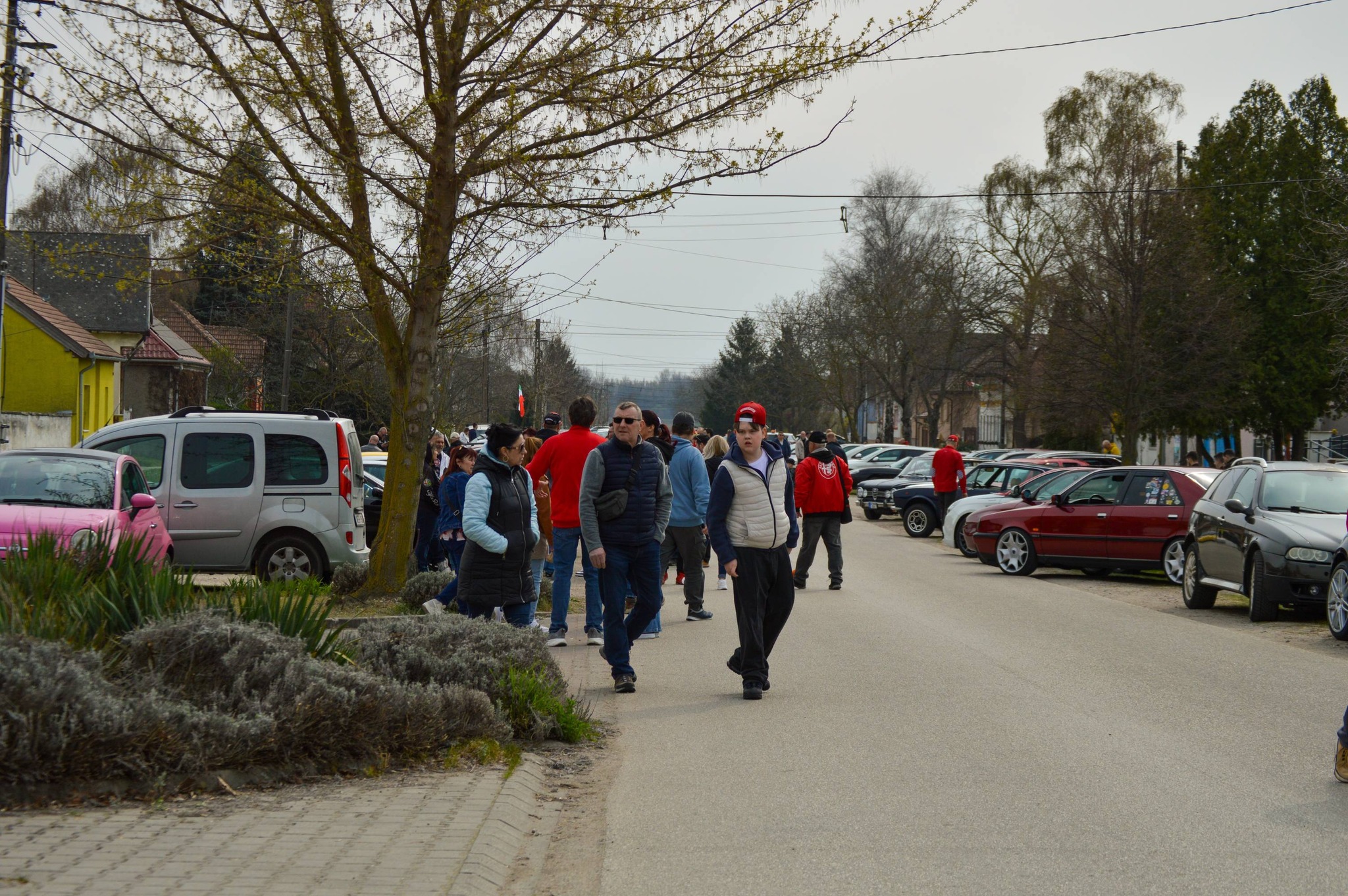 alfamania abda 2026 062