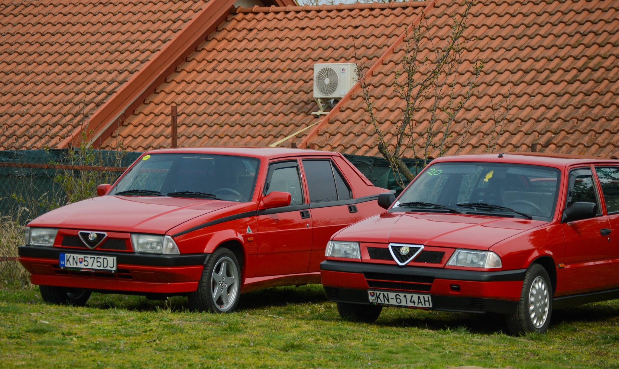 alfamania abda 2026 080