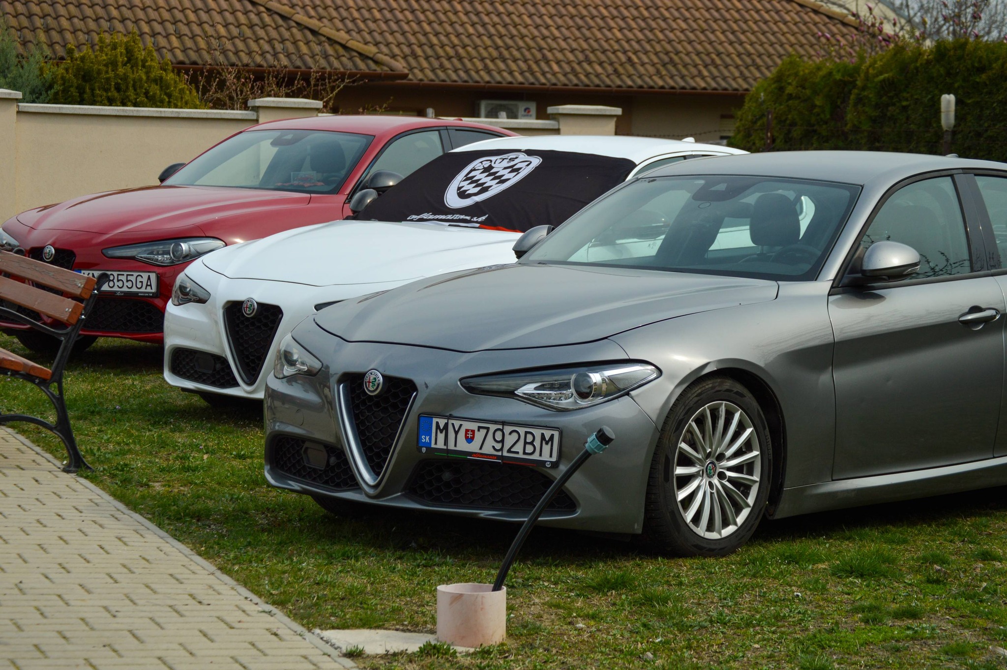 alfamania abda 2026 093