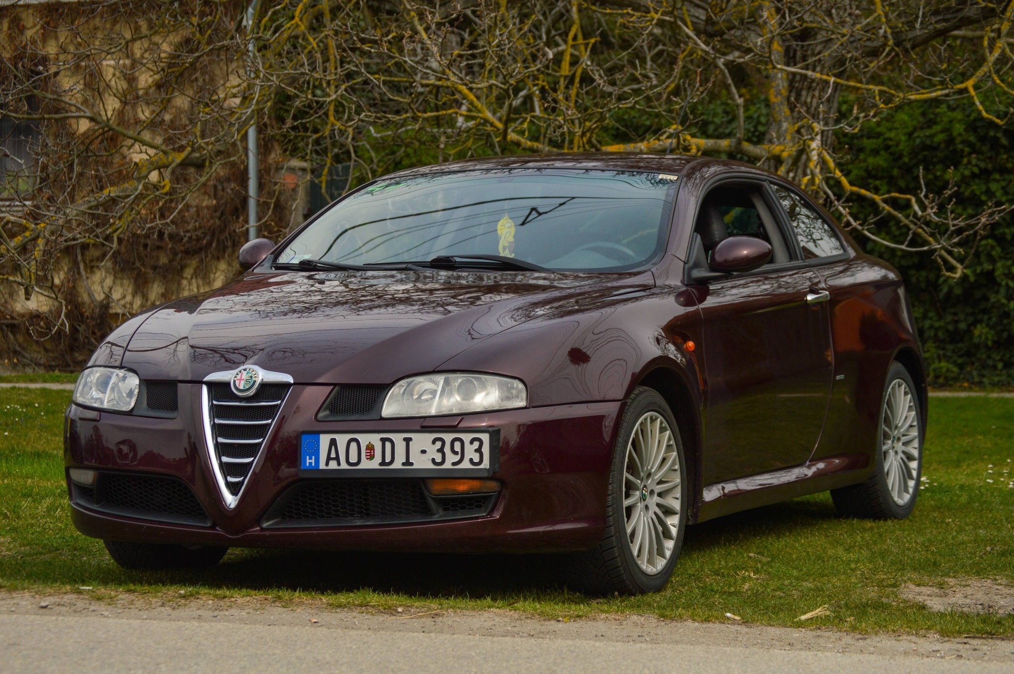 alfamania abda 2026 123