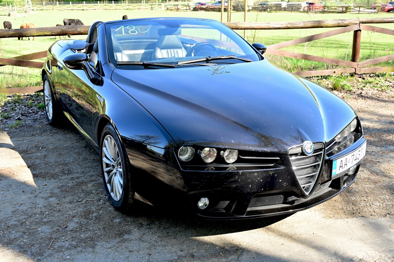 alfamania italofest 2026 0141