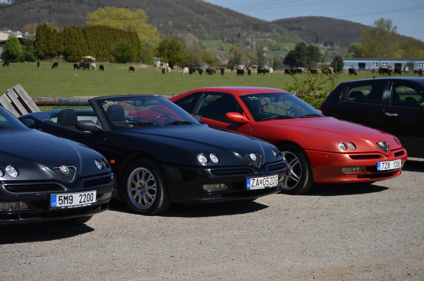italofest alfamania 2026 te 0033