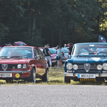 543362745 1638795300674685 2831692284529126507 n