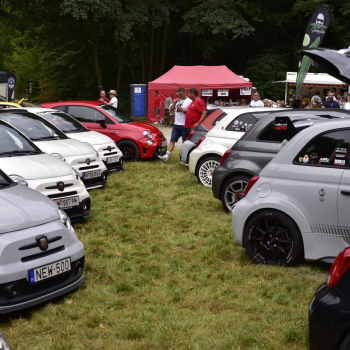 543444431 1638795990674616 6272397971427949508 n