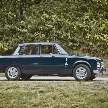 545091613 1638806450673570 7052272247243130423 n