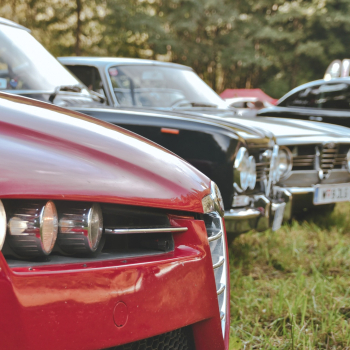 545548261 1638796120674603 5518755330533467634 n