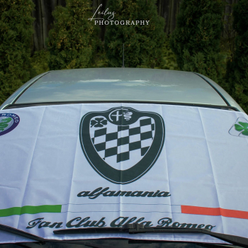 Alfa Romeo 028