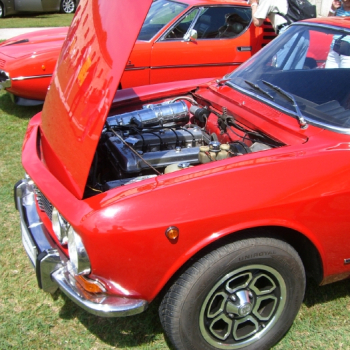 aflacity mino 147 101 20100610 1271998295