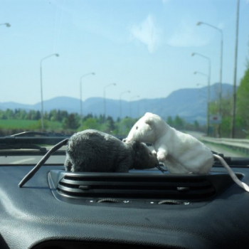 alfa svadba rordorovci 001 20110508 1445038554