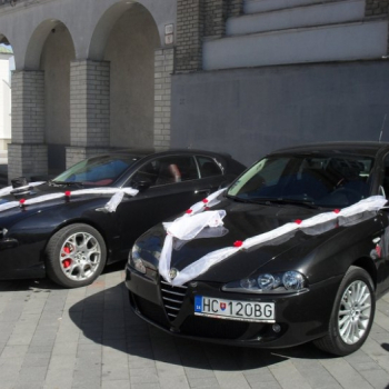 alfa svadba rordorovci 15 20110508 1818062083