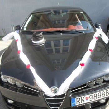 alfa svadba rordorovci 18 20110508 1801458910