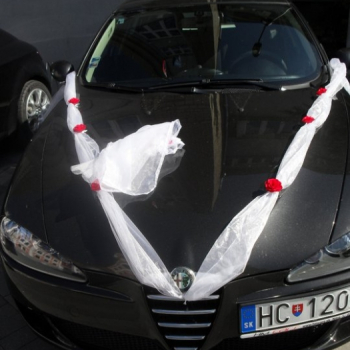 alfa svadba rordorovci 8 20110508 1052668837