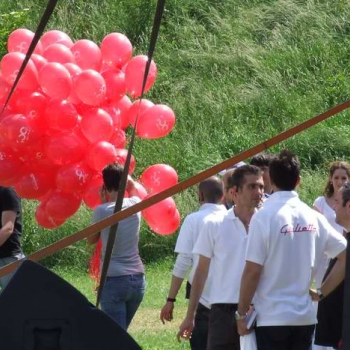 alfacity 2010 bckk 134 20100529 1709808084