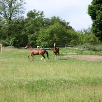 alfacity 2010 fero 11 20100606 1193657170