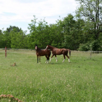 alfacity 2010 fero 14 20100606 1058168681