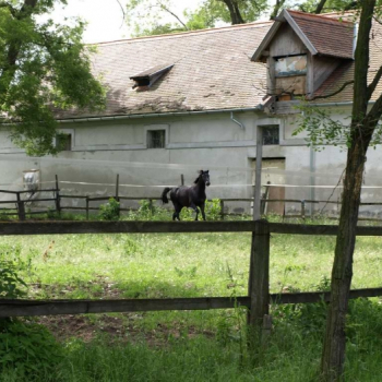 alfacity 2010 fero 18 20100606 1254246619