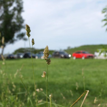 alfacity 2010 fero 22 20100606 1487579810