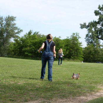 alfacity 2010 fero 26 20100606 1229510992