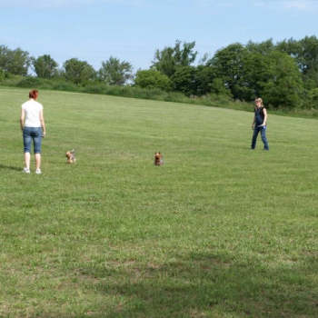 alfacity 2010 fero 28 20100606 1794872705