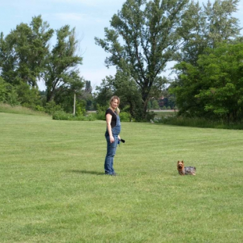 alfacity 2010 fero 31 20100606 1788031872