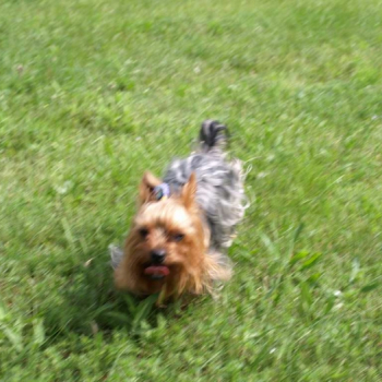 alfacity 2010 fero 32 20100606 1279594538