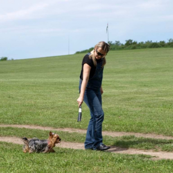 alfacity 2010 fero 35 20100606 1899774450