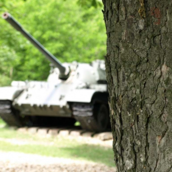 alfacity 2010 fero 38 20100606 1055533568