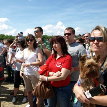 alfacity 2010 fero 4244 20100606 1454592184