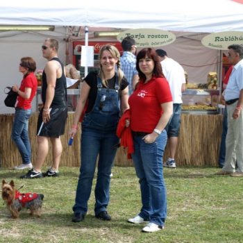 alfacity 2010 fero 44 20100606 1707452446