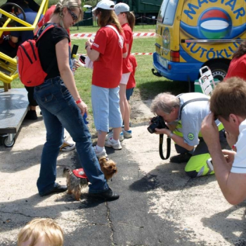 alfacity 2010 fero 77 20100606 1321565662