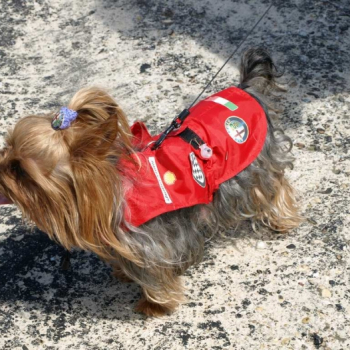 alfacity 2010 fero 79 20100606 1276948110