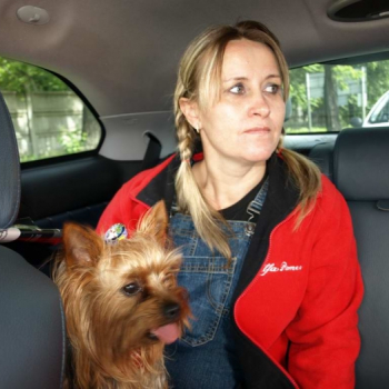 alfacity 2010 fero 7 20100606 1972887377