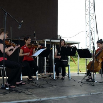 alfacity 2010 fero 80 20100606 1663503445