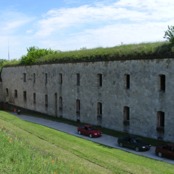 alfacity 2010 misho 166 15 20100601 1269506699