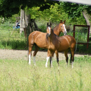 alfacity 2010 misho 166 208 20100601 1815650141