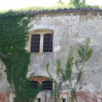 alfacity 2010 misho 166 21 20100601 1333967293