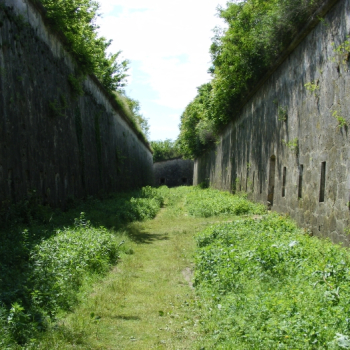 alfacity 2010 misho 166 22 20100601 1200524260